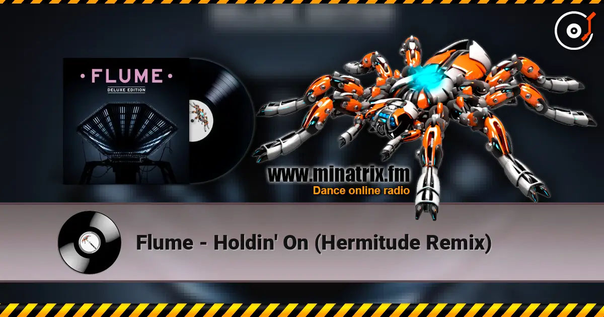 Flume - Holdin' On (Hermitude Remix) слушать онлайн в высоком качестве | Minatrix.FM
