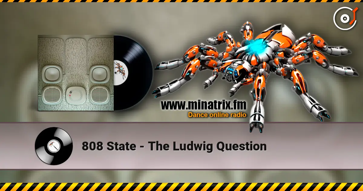 808 State - The Ludwig Question слушать онлайн в высоком качестве | Minatrix.FM