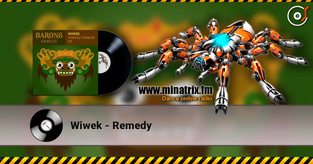 Wiwek - Remedy слушать онлайн в высоком качестве | Minatrix.FM