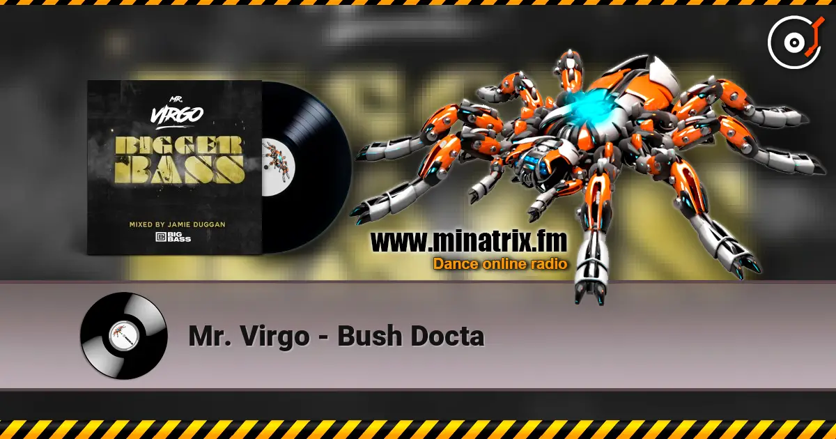 Mr. Virgo - Bush Docta слушать онлайн в высоком качестве | Minatrix.FM