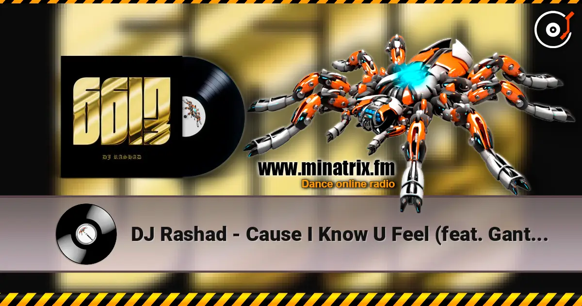 DJ Rashad - Cause I Know U Feel (feat. Gant-Man) слушать онлайн в высоком качестве | Minatrix.FM