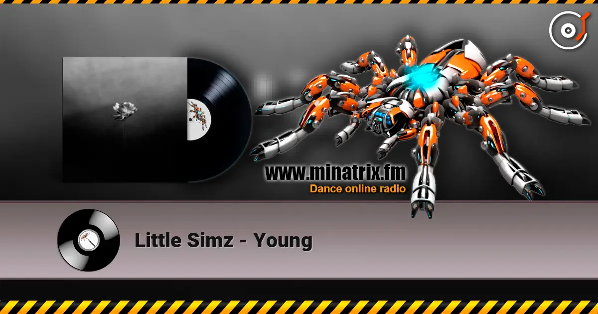 Little Simz - Young online in hoher Qualität hören | Minatrix.FM