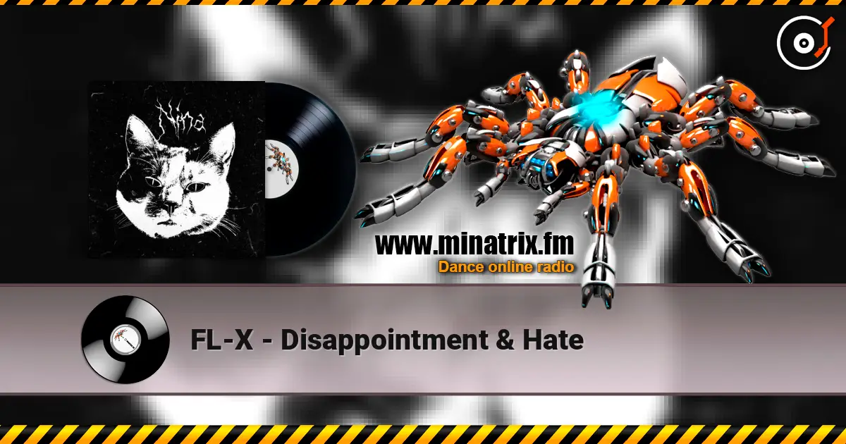 FL-X - Disappointment & Hate слушать онлайн в высоком качестве | Minatrix.FM