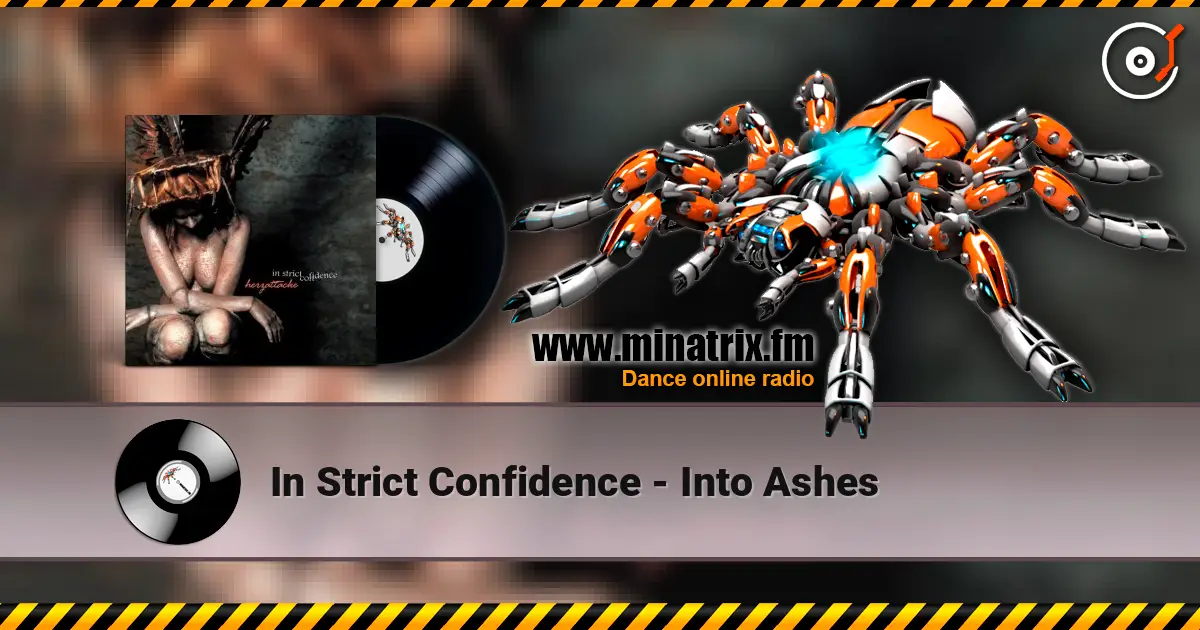 In Strict Confidence - Into Ashes слушать онлайн в высоком качестве | Minatrix.FM