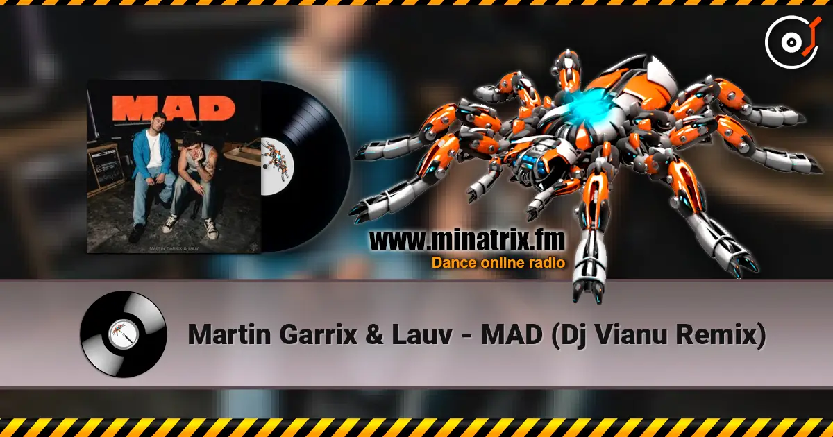 Martin Garrix & Lauv - MAD (Dj Vianu Remix) слушать онлайн в высоком качестве | Minatrix.FM