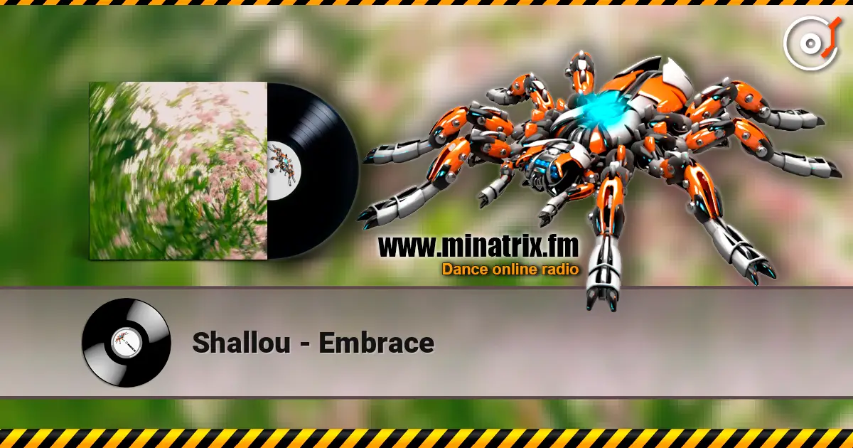 Shallou - Embrace слушать онлайн в высоком качестве | Minatrix.FM