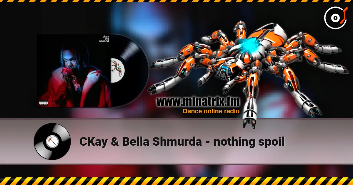 CKay & Bella Shmurda - nothing spoil слушать онлайн в высоком качестве | Minatrix.FM