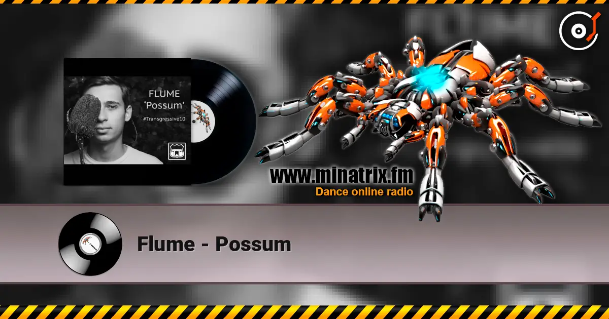 Flume - Possum слушать онлайн в высоком качестве | Minatrix.FM