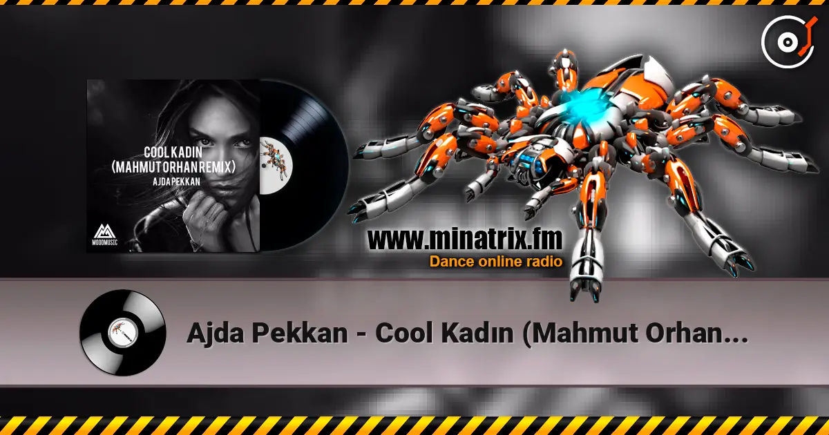 Ajda Pekkan - Cool Kadın (Mahmut Orhan Remix) слушать онлайн в высоком качестве | Minatrix.FM