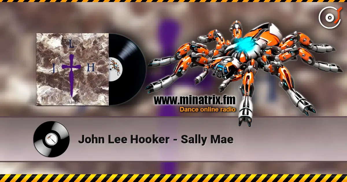 John Lee Hooker - Sally Mae escuchar en línea en alta calidad | Minatrix.FM