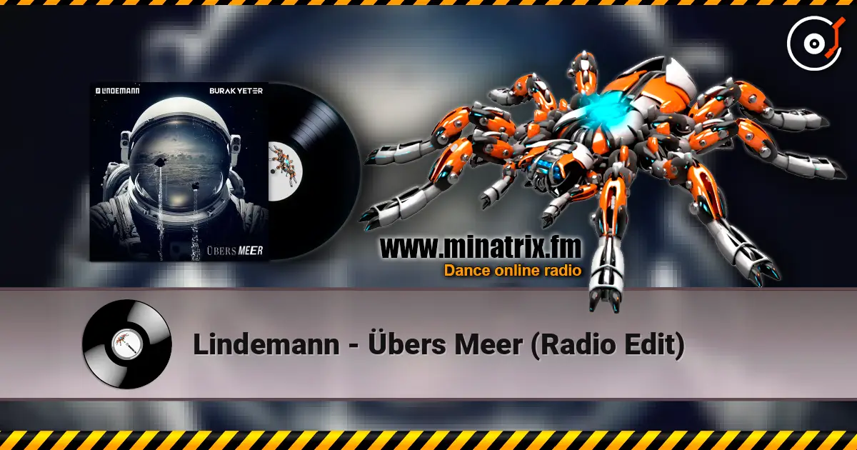 Lindemann - Übers Meer (Radio Edit) слушать онлайн в высоком качестве | Minatrix.FM