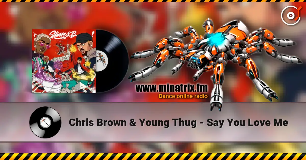 Chris Brown & Young Thug - Say You Love Me 在线收听高音质 | Minatrix.FM