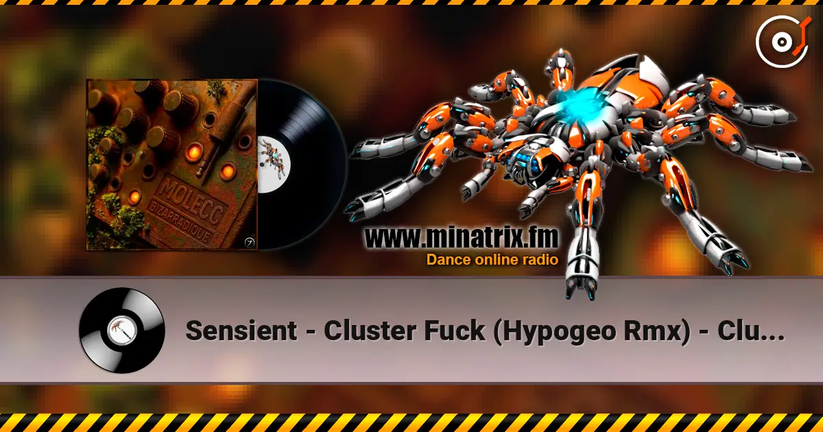 Sensient - Cluster Fuck (Hypogeo Rmx) - Cluster Fuck (Hypogeo Rmx) 在线收听高音质 | Minatrix.FM