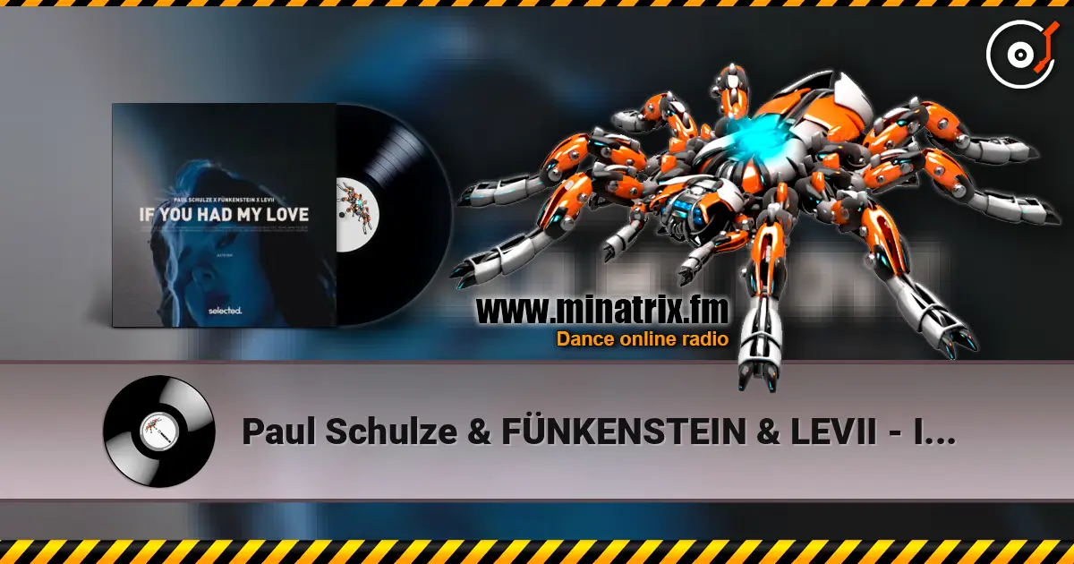 Paul Schulze & FÜNKENSTEIN & LEVII - If You Had My Love online in hoher Qualität hören | Minatrix.FM
