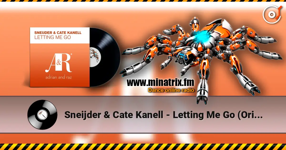 Sneijder & Cate Kanell - Letting Me Go (Original Mix) online in hoher Qualität hören | Minatrix.FM