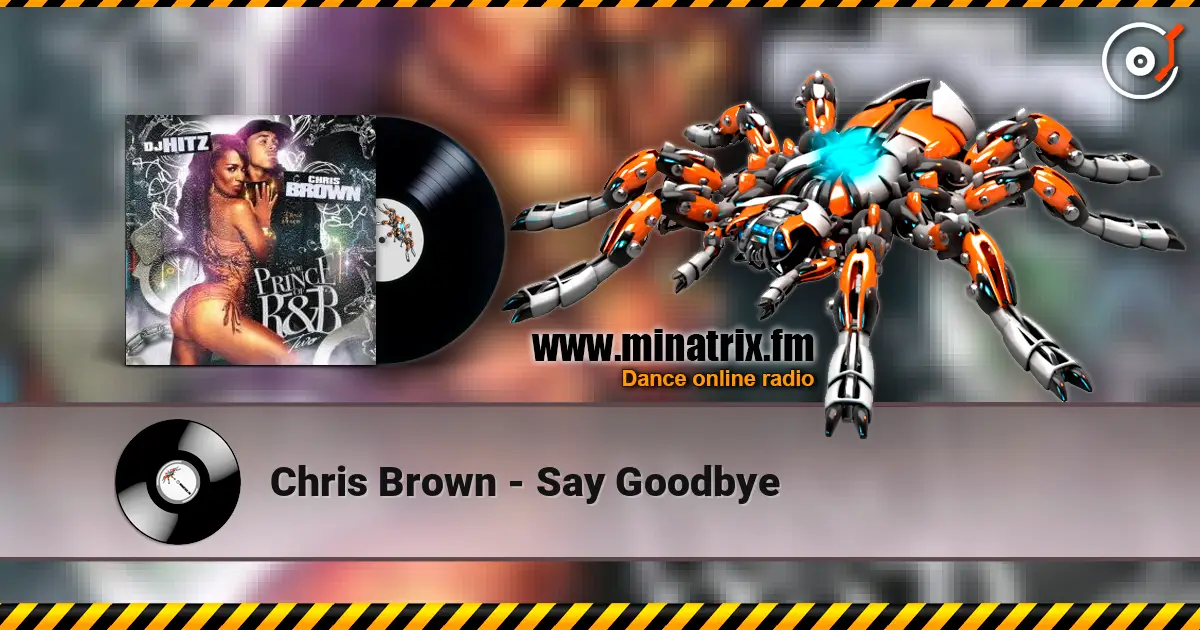 Chris Brown - Say Goodbye online in hoher Qualität hören | Minatrix.FM