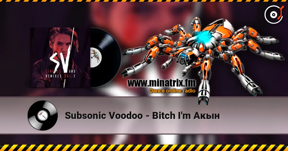 Subsonic Voodoo - Bitch I'm Акын listen online in high quality | Minatrix.FM