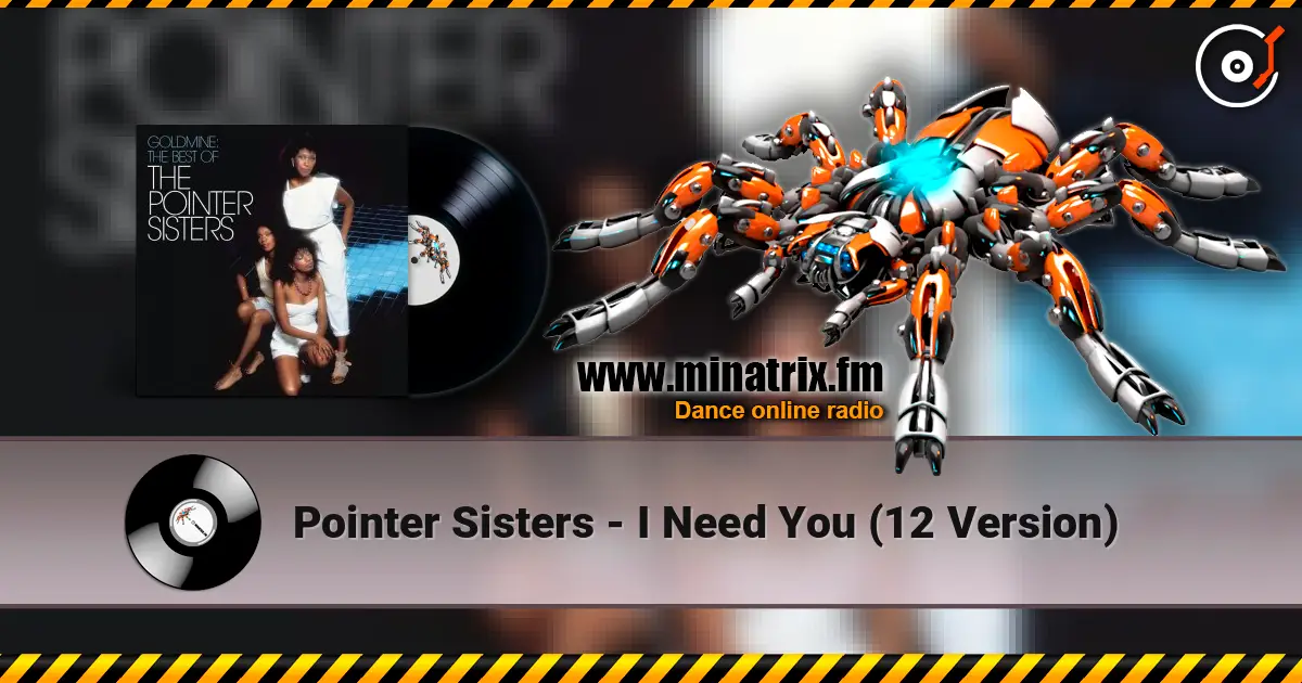 Pointer Sisters - I Need You  (12 Version) слухати онлайн у високій якості | Minatrix.FM