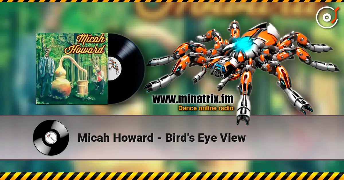 Micah Howard - Bird's Eye View слушать онлайн в высоком качестве | Minatrix.FM
