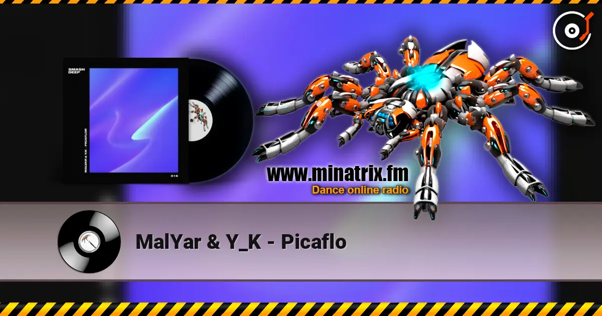 MalYar & Y_K - Picaflo слушать онлайн в высоком качестве | Minatrix.FM
