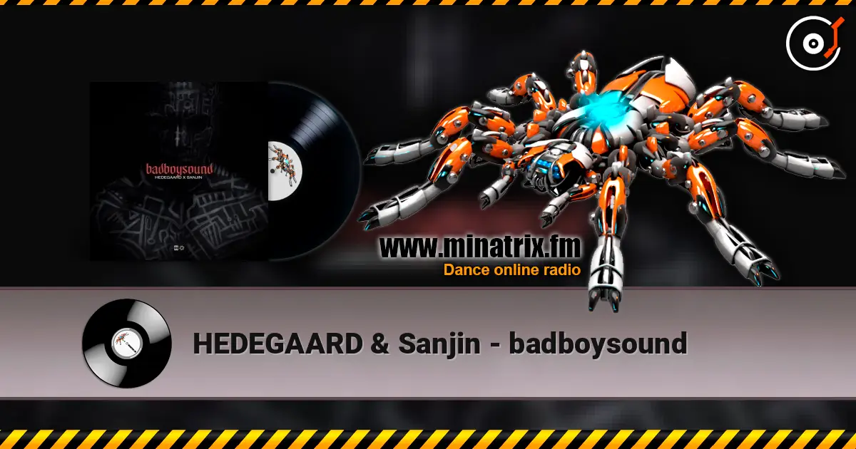 HEDEGAARD & Sanjin - badboysound слушать онлайн в высоком качестве | Minatrix.FM