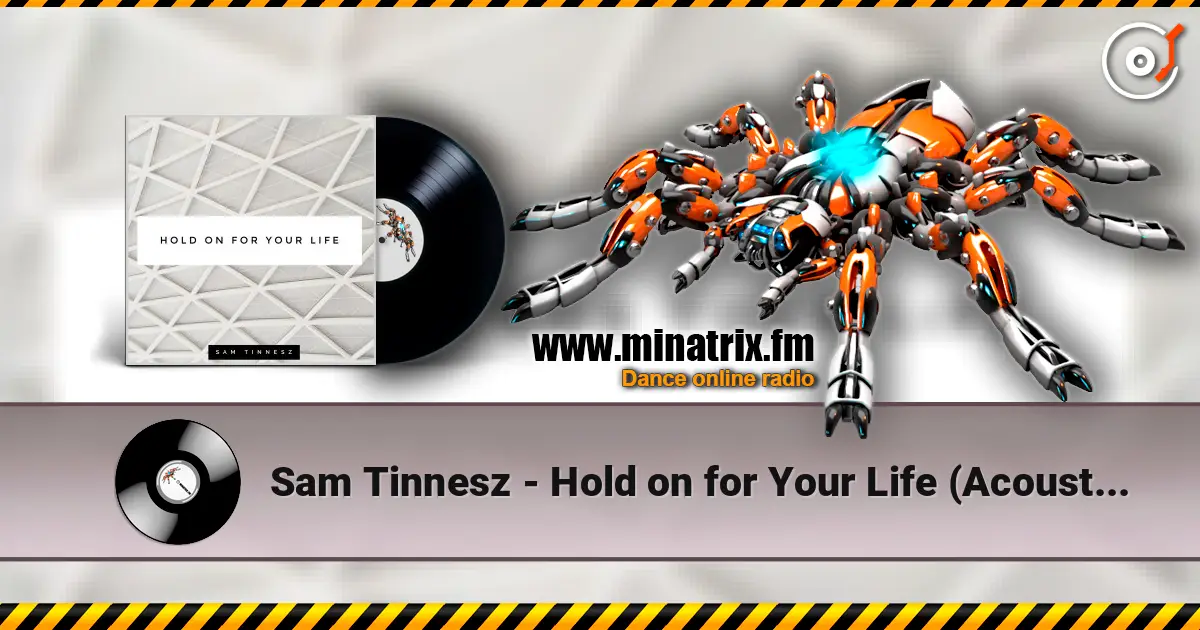 Sam Tinnesz - Hold on for Your Life (Acoustic) слушать онлайн в высоком качестве | Minatrix.FM