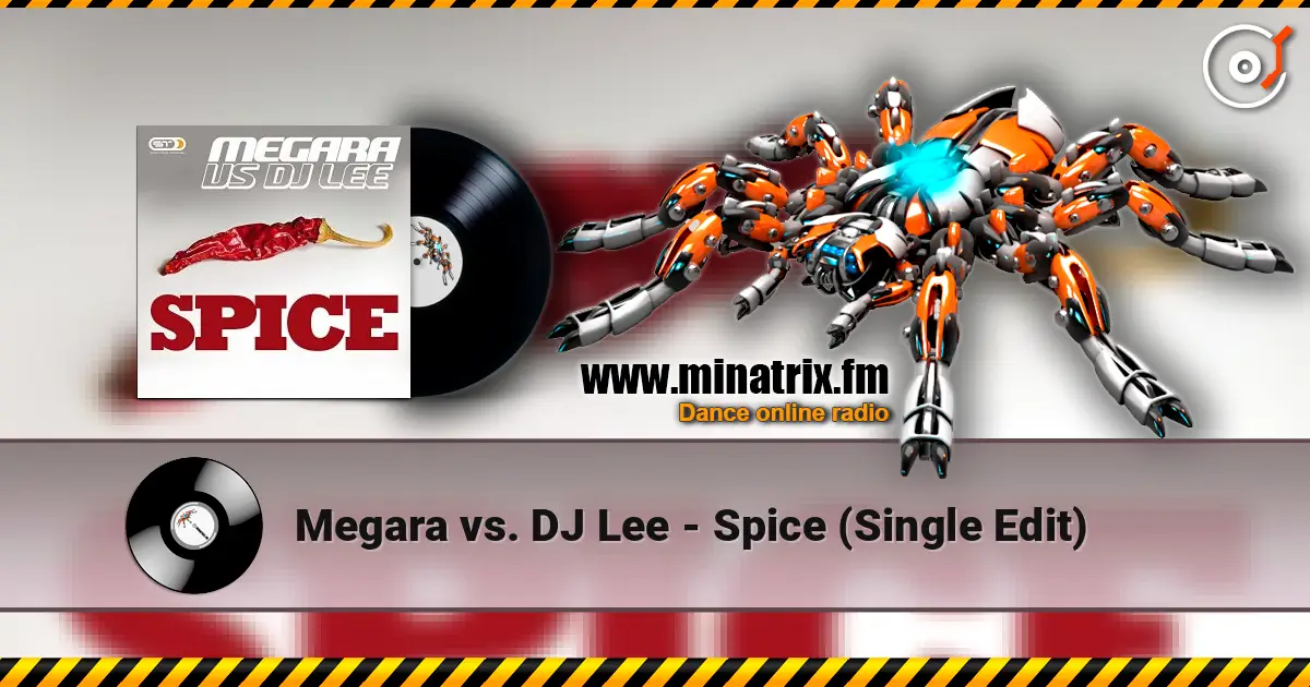 Megara vs. DJ Lee - Spice (Single Edit) listen online in high quality | Minatrix.FM