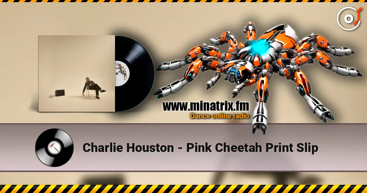 Charlie Houston - Pink Cheetah Print Slip слушать онлайн в высоком качестве | Minatrix.FM