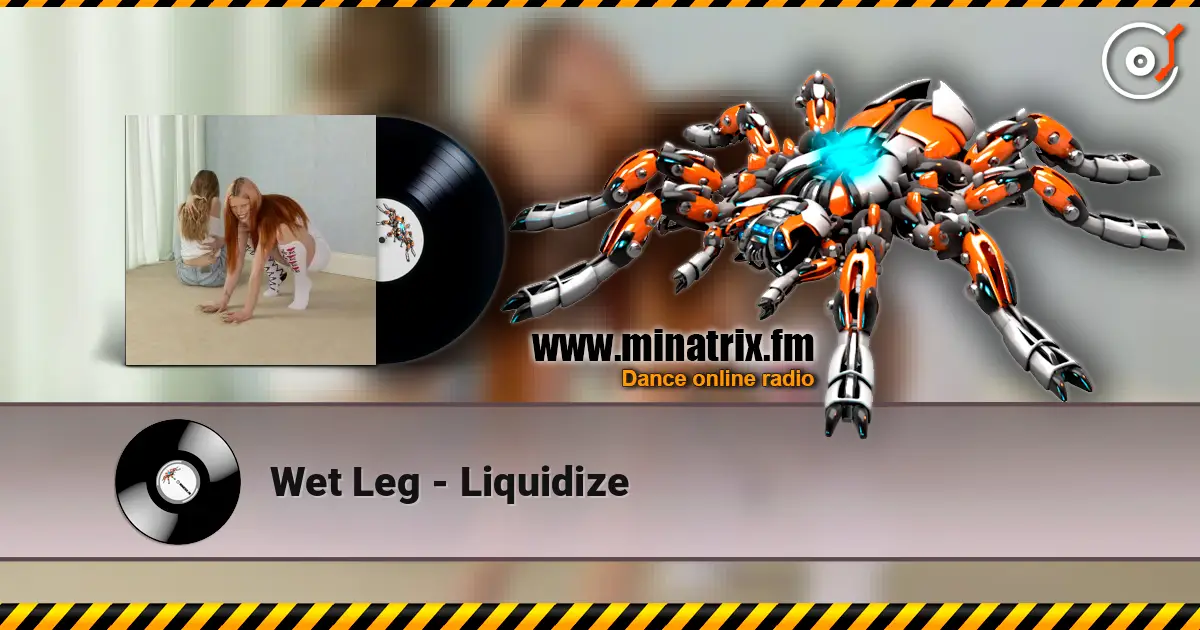 Wet Leg - Liquidize слушать онлайн в высоком качестве | Minatrix.FM