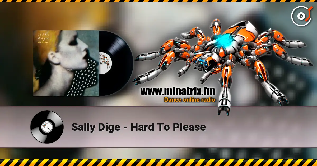 Sally Dige - Hard To Please слушать онлайн в высоком качестве | Minatrix.FM