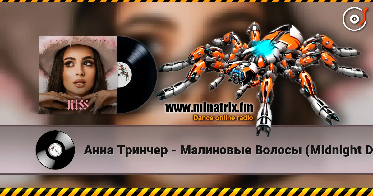 Анна Тринчер - Малиновые Волосы (Midnight Daddies Summer Edit) 在线收听高音质 | Minatrix.FM