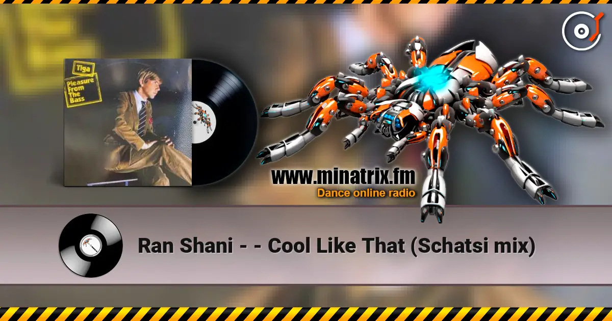Ran Shani - - Cool Like That (Schatsi mix) écouter en ligne en haute qualité | Minatrix.FM