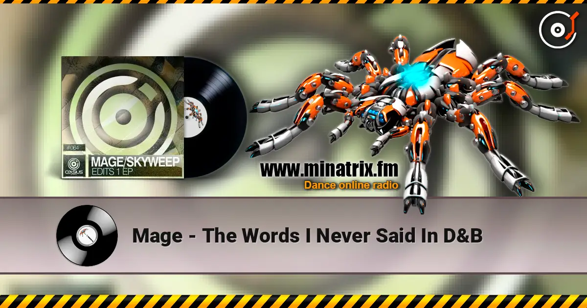 Mage - The Words I Never Said In D&B слушать онлайн в высоком качестве | Minatrix.FM