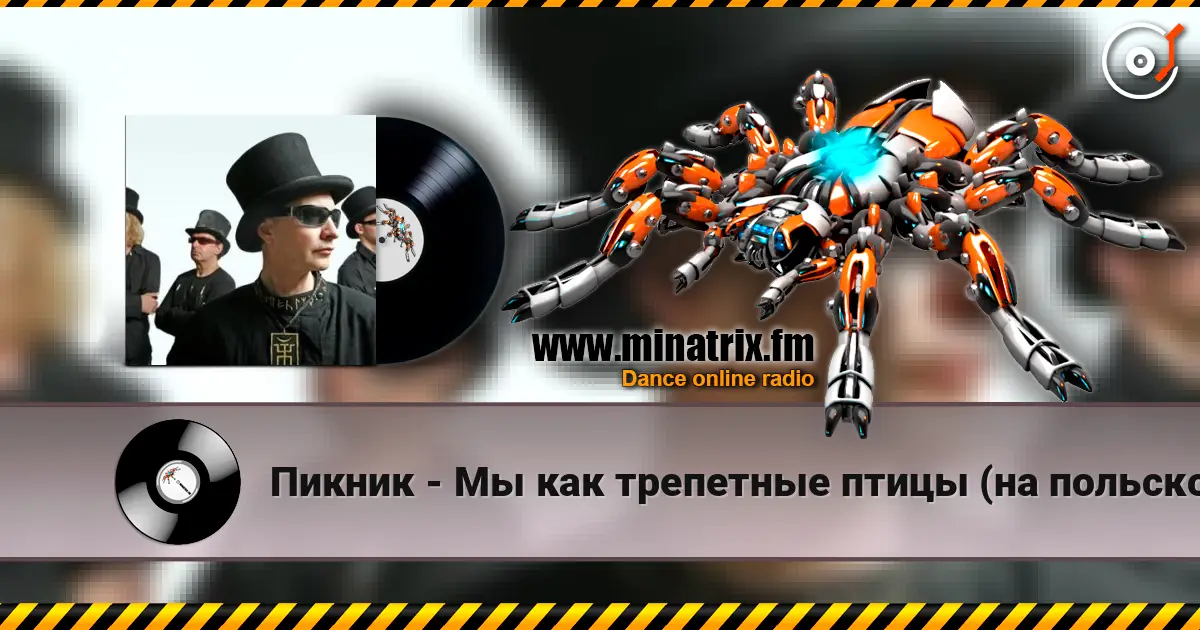 Пикник - Мы как трепетные птицы (на польском языке) escuchar en línea en alta calidad | Minatrix.FM