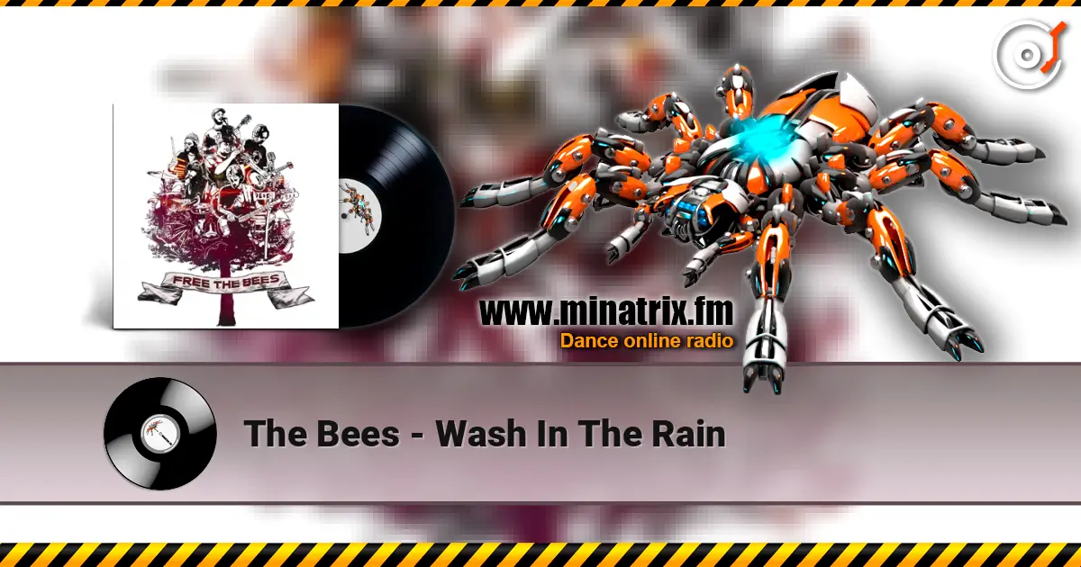 The Bees - Wash In The Rain слушать онлайн в высоком качестве | Minatrix.FM