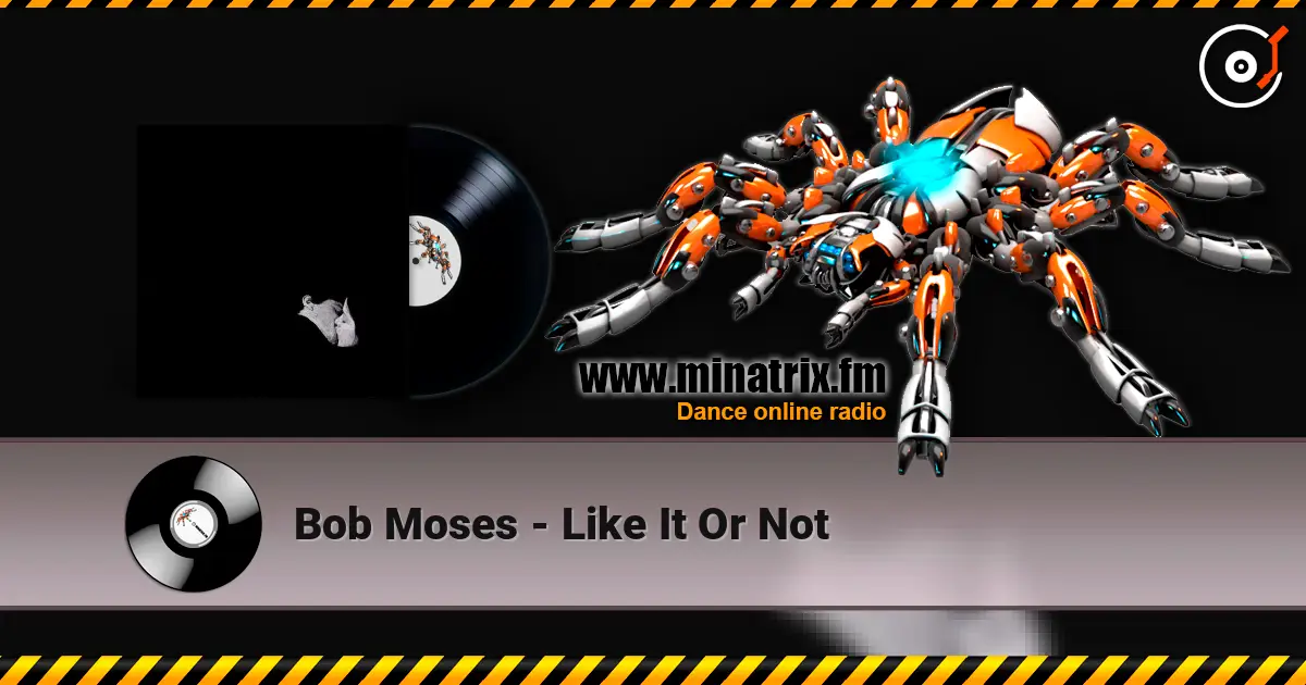 Bob Moses - Like It Or Not online in hoher Qualität hören | Minatrix.FM