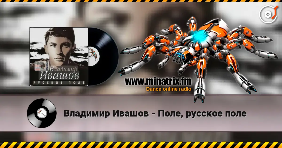 Владимир Ивашов - Поле, русское поле слушать онлайн в высоком качестве | Minatrix.FM