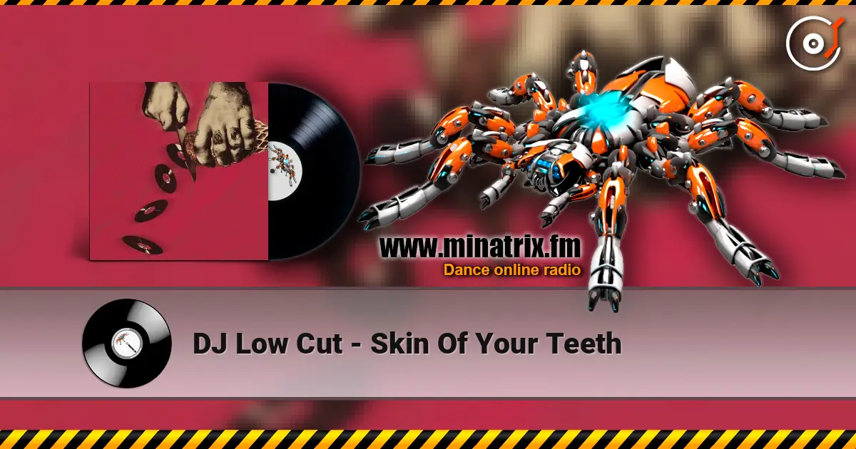 DJ Low Cut - Skin Of Your Teeth слушать онлайн в высоком качестве | Minatrix.FM