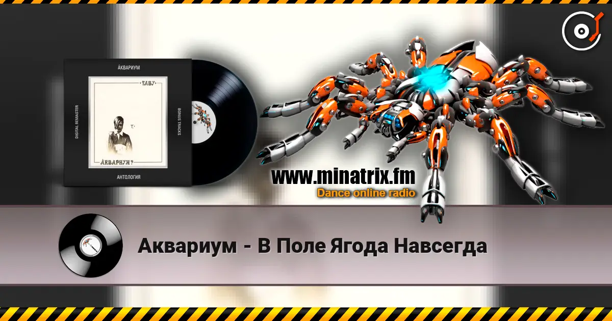 Аквариум - В Поле Ягода Навсегда online in hoher Qualität hören | Minatrix.FM