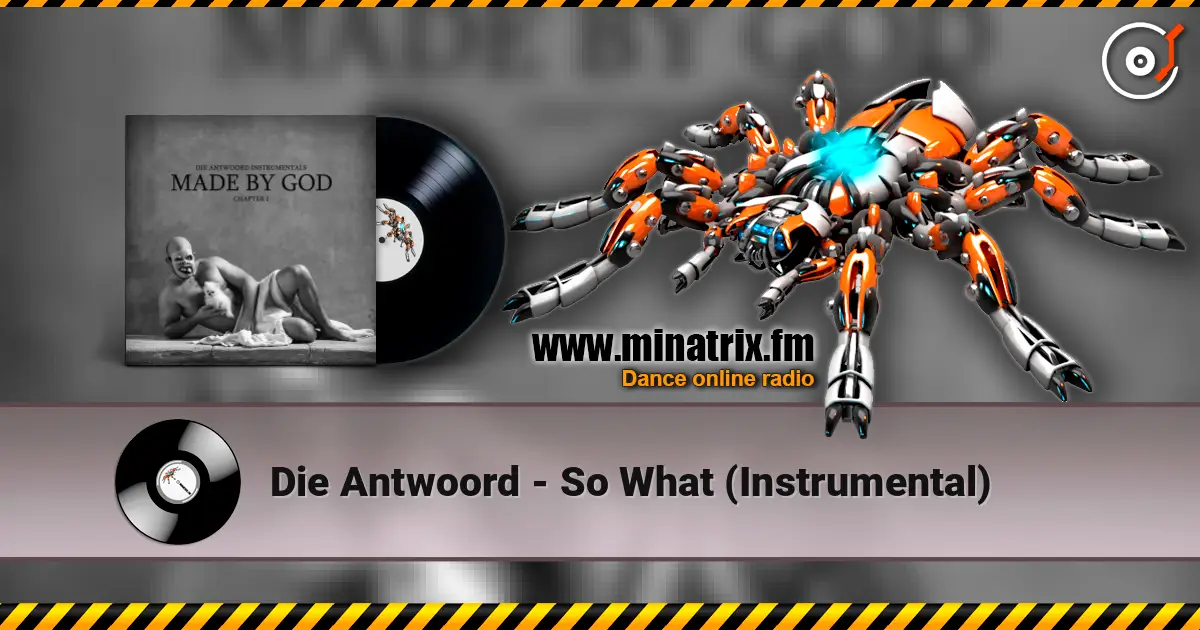 Die Antwoord - So What (Instrumental) 在线收听高音质 | Minatrix.FM
