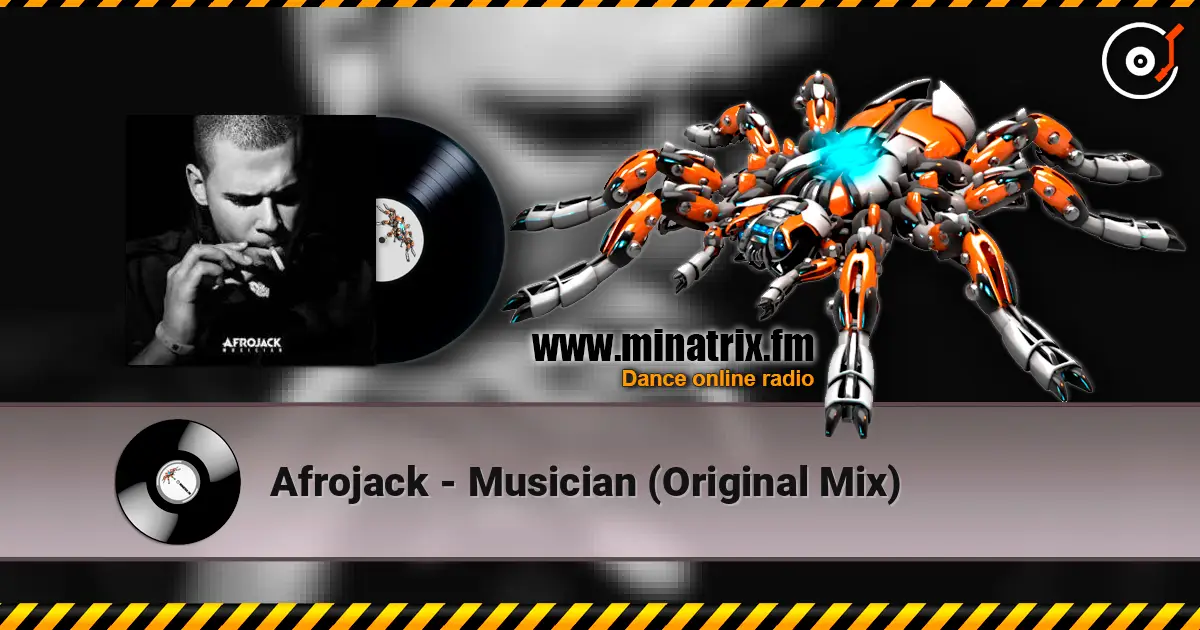 Afrojack - Musician (Original Mix) online in hoher Qualität hören | Minatrix.FM