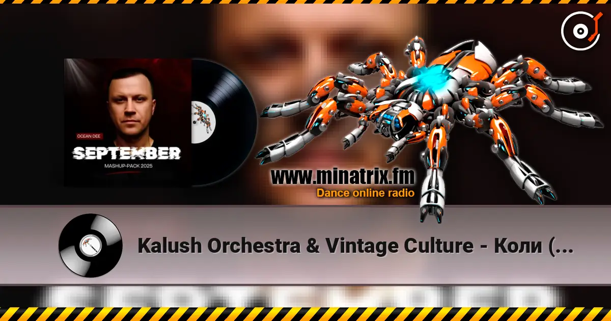 Kalush Orchestra & Vintage Culture - Коли (Ocean Dee Edit) online in hoher Qualität hören | Minatrix.FM