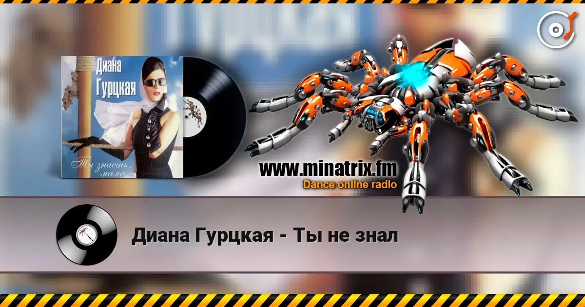 Диана Гурцкая - Ты не знал online in hoher Qualität hören | Minatrix.FM