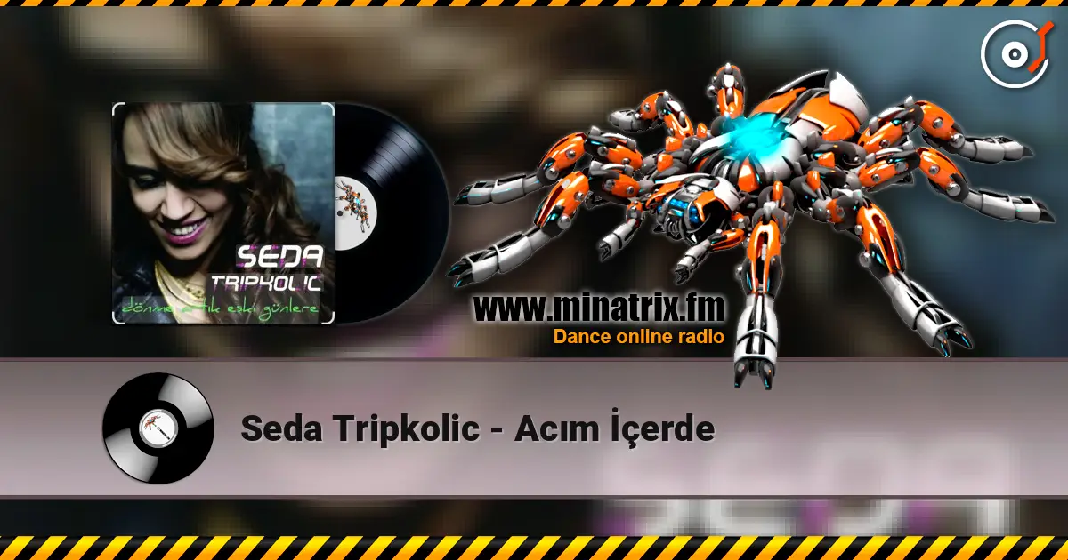 Seda Tripkolic - Acım İçerde слушать онлайн в высоком качестве | Minatrix.FM