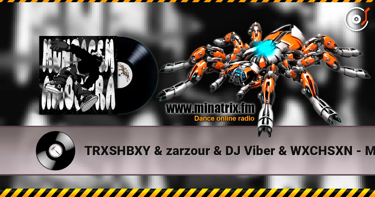 TRXSHBXY & zarzour & DJ Viber & WXCHSXN - MONTAGEM AMOSTRA слушать онлайн в высоком качестве | Minatrix.FM