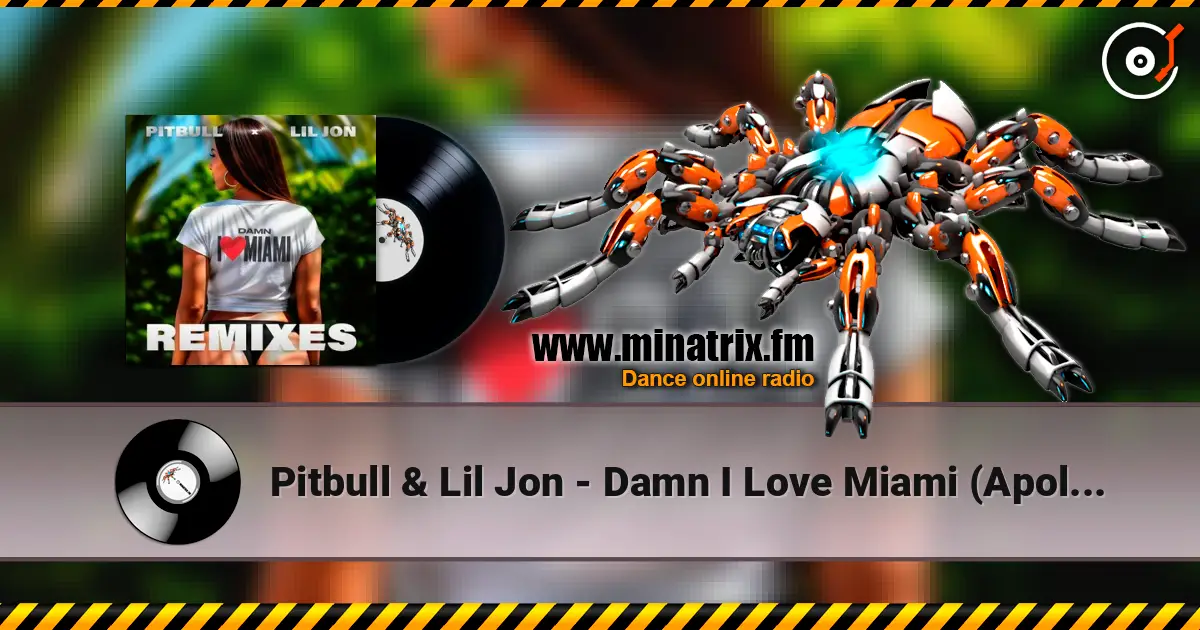 Pitbull & Lil Jon - Damn I Love Miami (Apollo XO Remix) escuchar en línea en alta calidad | Minatrix.FM