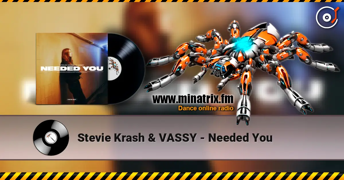 Stevie Krash & VASSY - Needed You слушать онлайн в высоком качестве | Minatrix.FM