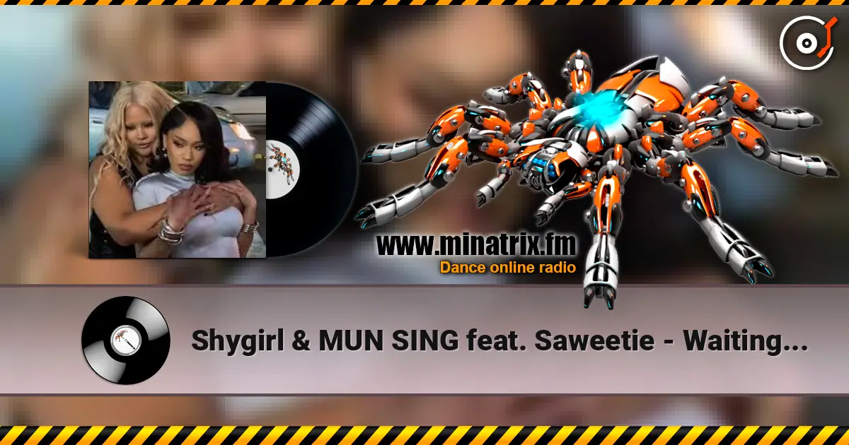 Shygirl & MUN SING feat. Saweetie - Waiting in the Car слушать онлайн в высоком качестве | Minatrix.FM
