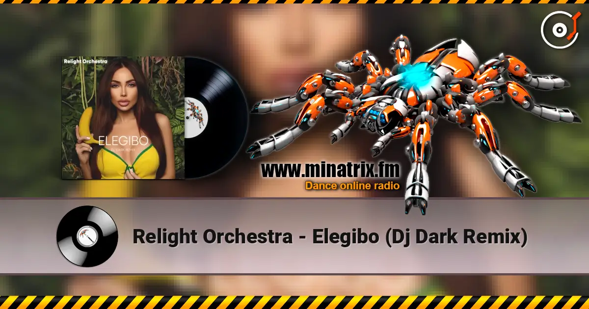 Relight Orchestra - Elegibo (Dj Dark Remix) слушать онлайн в высоком качестве | Minatrix.FM