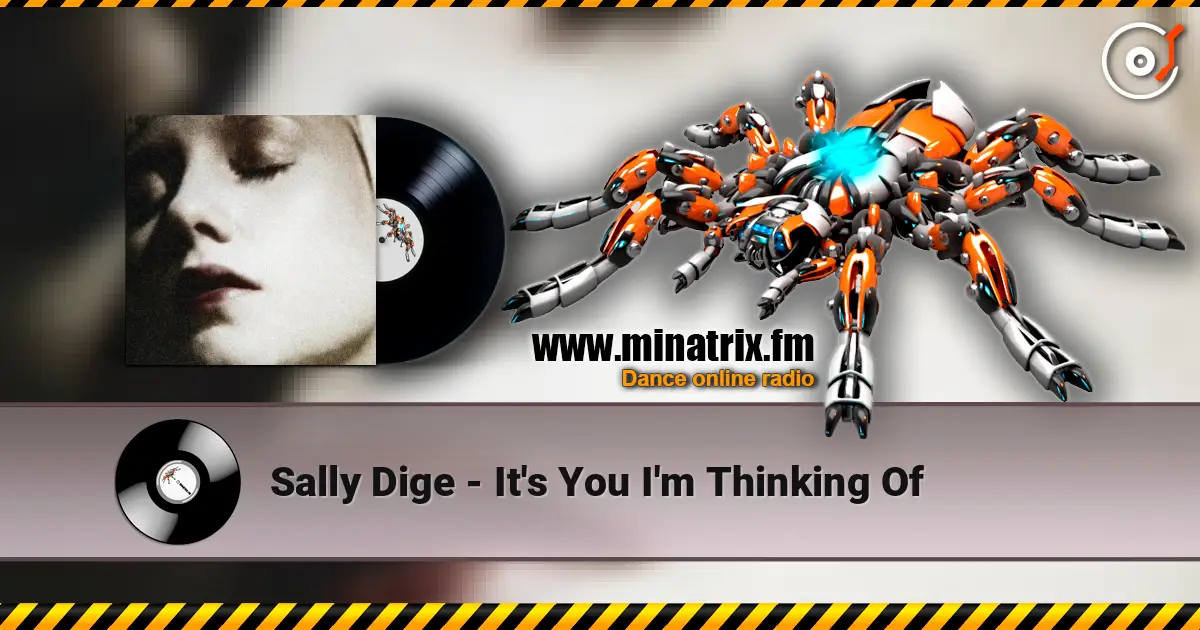 Sally Dige - It's You I'm Thinking Of 在线收听高音质 | Minatrix.FM